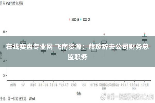 在线实盘专业网 飞南资源：薛珍辞去公司财务总监职务