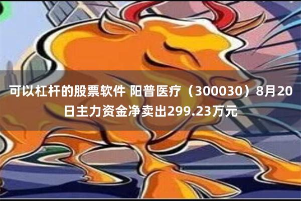 可以杠杆的股票软件 阳普医疗（300030）8月20日主力资金净卖出299.23万元