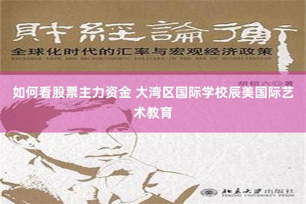 如何看股票主力资金 大湾区国际学校辰美国际艺术教育