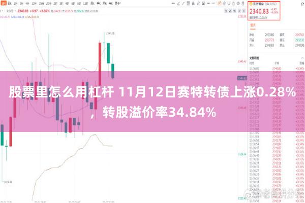 股票里怎么用杠杆 11月12日赛特转债上涨0.28%，转股溢价率34.84%