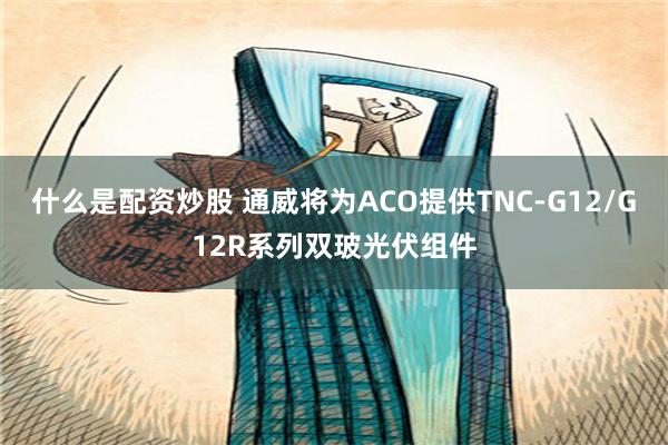 什么是配资炒股 通威将为ACO提供TNC-G12/G12R系列双玻光伏组件