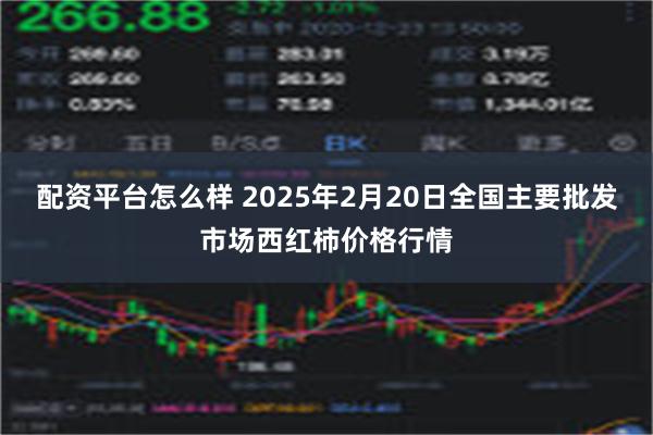 配资平台怎么样 2025年2月20日全国主要批发市场西红柿价格行情